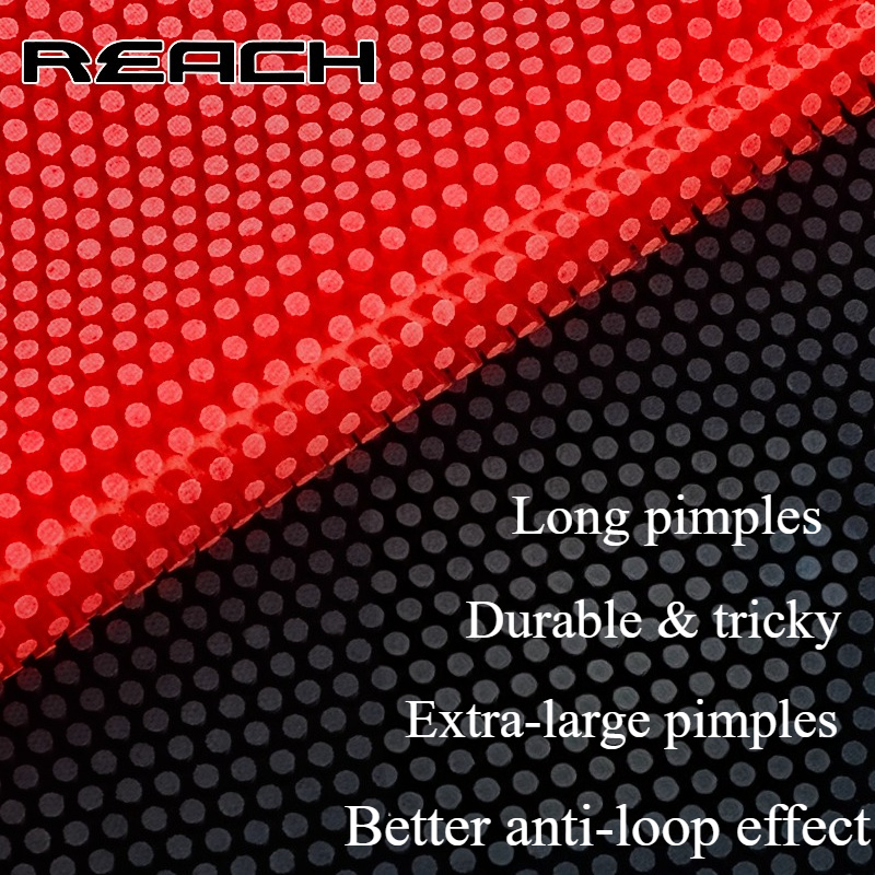 Reach C-8 C-801 Table-tennis R - Table Tennis Grip บทวิจารณ์และราคา